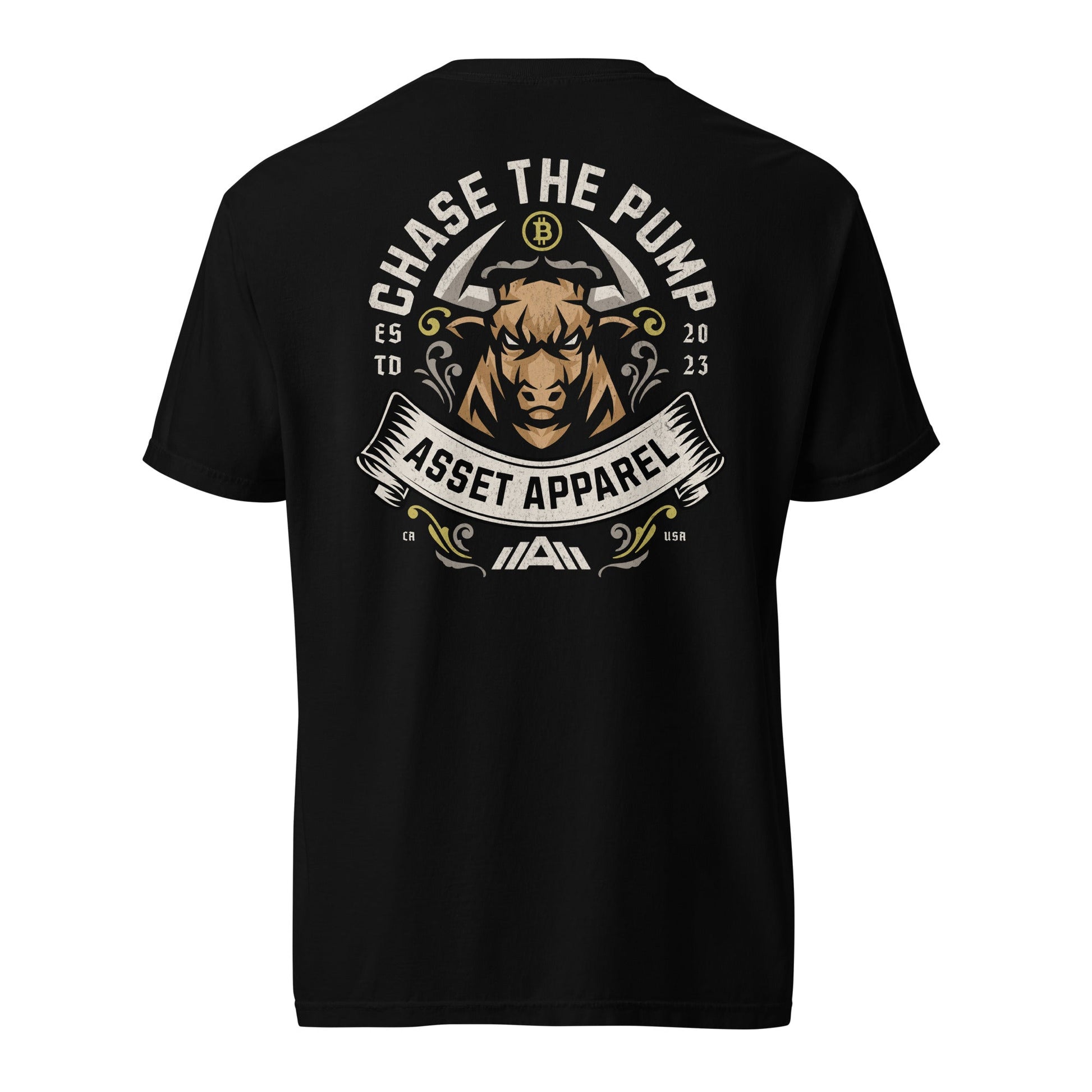 Chase The Pump Heavyweight Tee - Asset Apparel